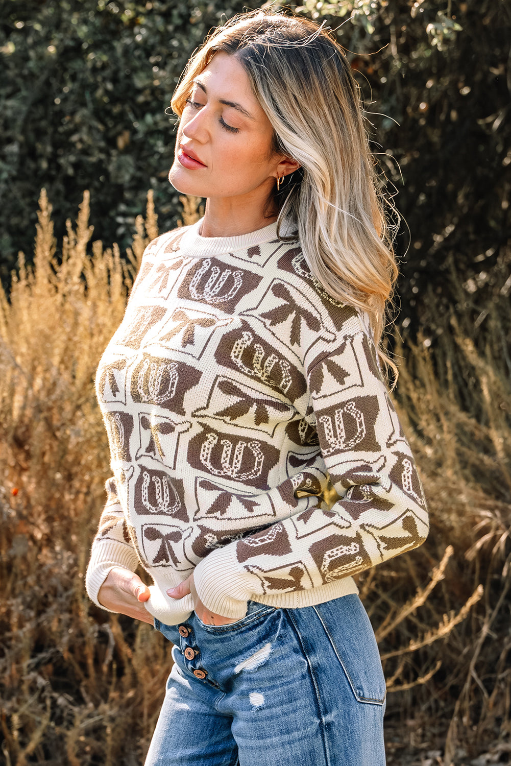 Brown Bows & Horseshoes Western Print Sweater