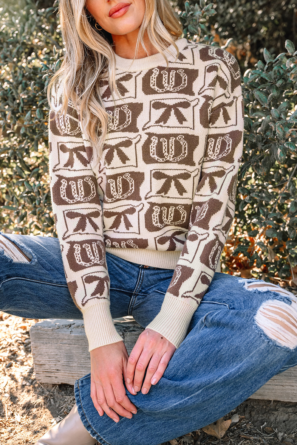 Brown Bows & Horseshoes Western Print Sweater